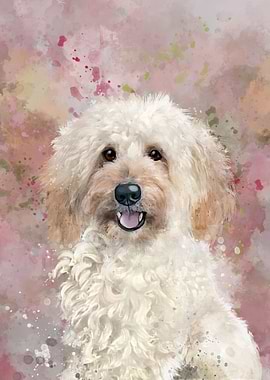 Poodle Dog in Watercolor