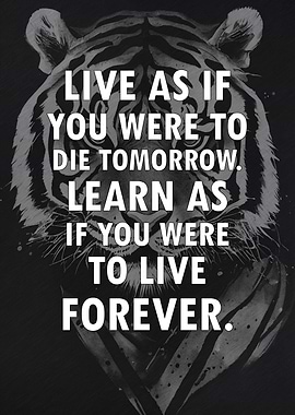 Motivational Quotes T6