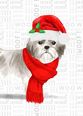 Imperial Shih Tzu Dog