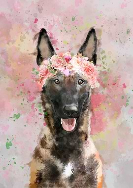 Malinois dog w flowers