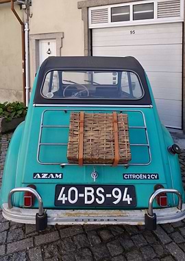 Mint Citroen 2 CV 01