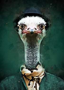 Ostrich Fashion