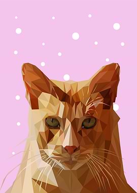 nursery animal cute cat