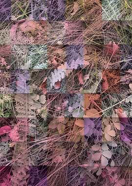 Checkered autumn grass