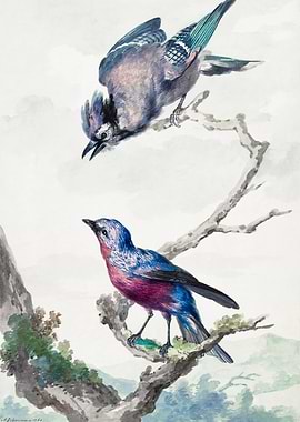 Two birds 1760