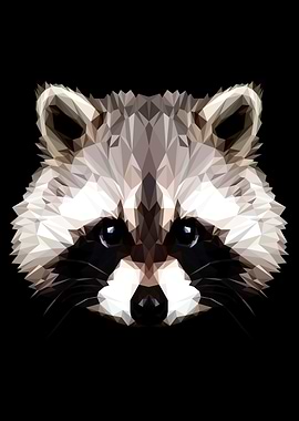 Raccoon