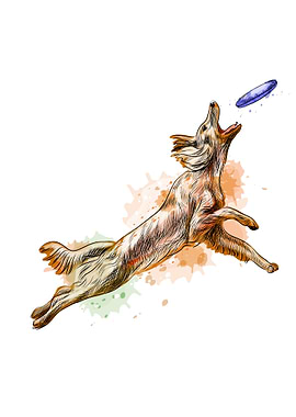 Dog catching flying disk