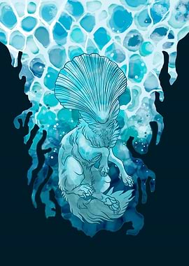 Scallop Sea Wolf Teal