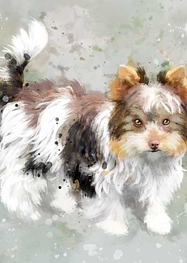Shih Tzu Watercolor Dog