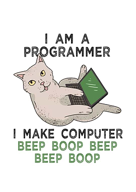 Programmer cat meme