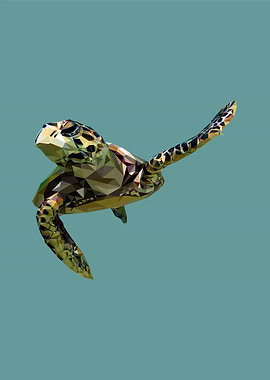 nursery animal tortoise