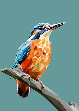 animal portrait kingfisher