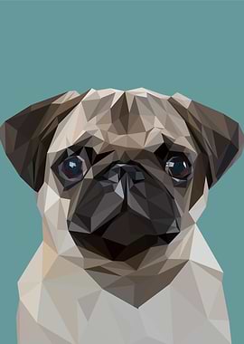 animal portrait cute dog