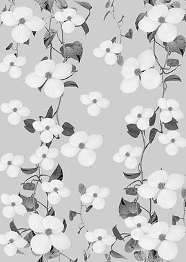 Golden Pothos Ivy Flower 2