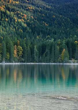 Tree Reflection in Lake 1