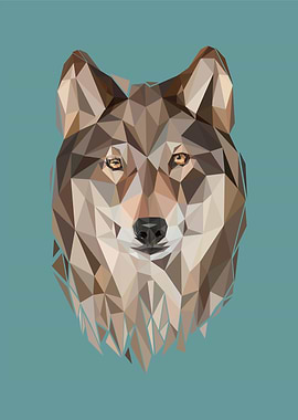 animal portrait wolf