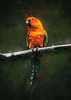 Beautiful Parrot