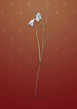 Blue Pipe on Falu Red