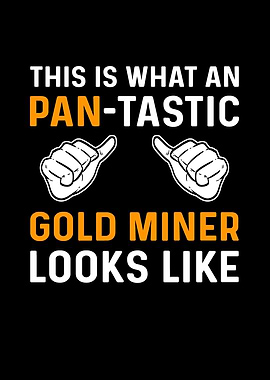 An PanTastic Gold Miner