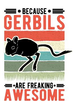 Gerbil Mongolian Racing Ra