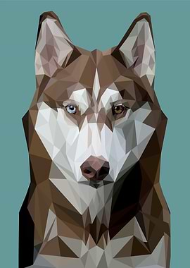 nursery animal canis dog