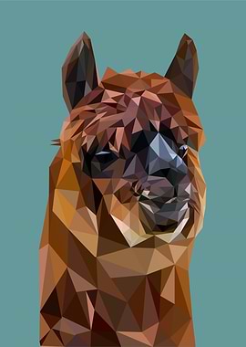 nursery animal alpaca