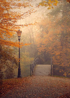 Autumn misty dawn, bridge