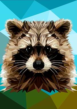 Raccoon