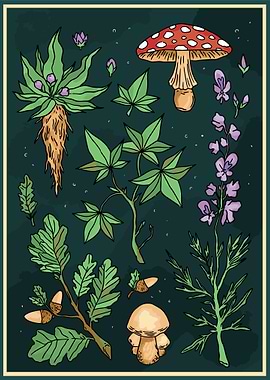 Dark Botanical Garden