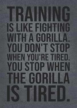 Training Fighting Gorilla