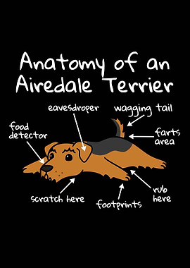 Airedale Terrier Anatomy