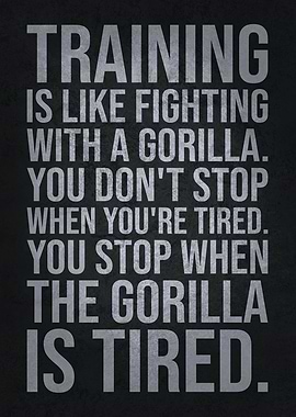 Training vs Fight Gorilla