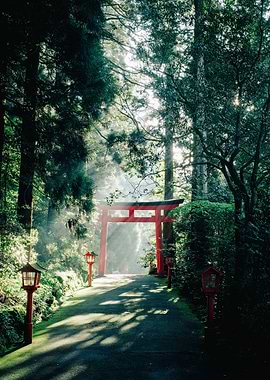 JAPANESE TORII