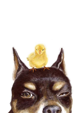 Dog with chick