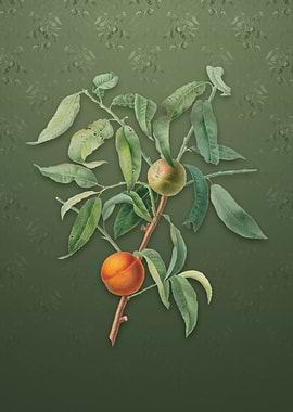 Peach on Lunar Green