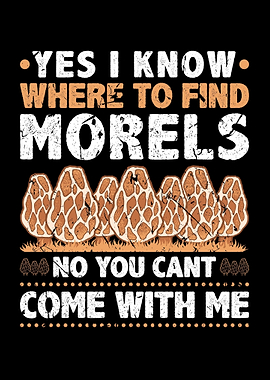 Find Morels Hunting