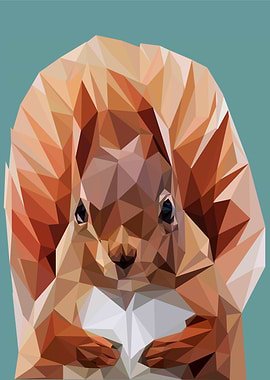 nursery animal squirrel