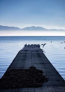 Calm on the Leman lake