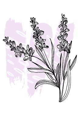 Lavender Simple