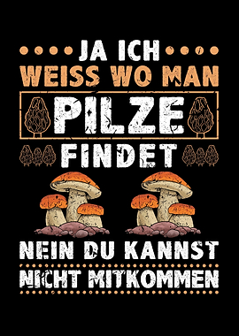 Steinpilz Pilz Sammler