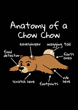 Anatomy Of A Chow Chow