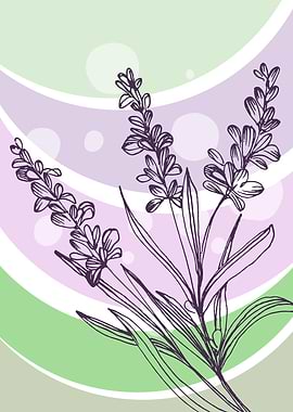 Lavender Minimal