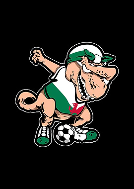Soccer Wales
