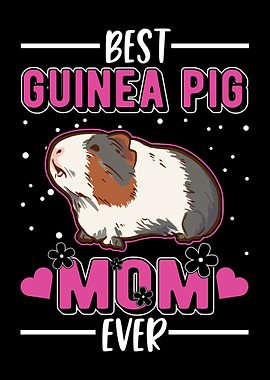 Guinea Pig Gift