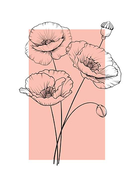 Poppy Flower