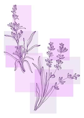 Lavender Minimal Contemp
