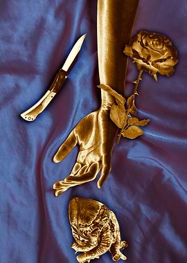 Fight for your heart