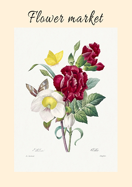 Hellebore and Oeillet