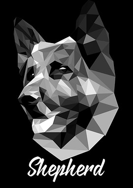Shepherd