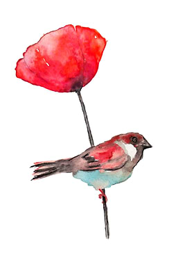 Sparrow on poppy